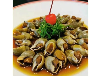 翡翠螺新鲜冷冻海青螺翡翠螺青岛小海螺麻辣海螺原材料批发图4