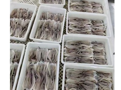 冷冻鱿鱼须新鲜章鱼足八爪鱼海鲜冷冻水产火锅烧烤食材酒店批发图5