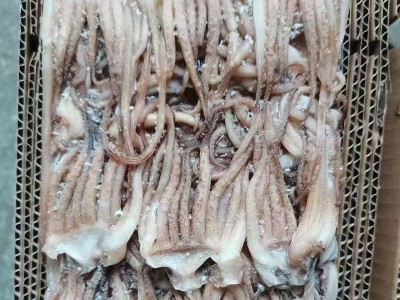 冷冻鱿鱼须新鲜章鱼足八爪鱼海鲜冷冻水产火锅烧烤食材酒店批发图4