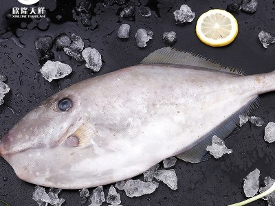 欣隆天鲜东海野生扒皮鱼冷冻海鲜500g-1500g顺丰冷链剥皮鱼马面鱼图2
