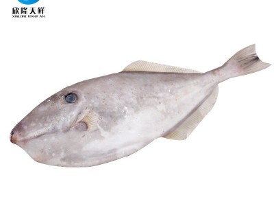 欣隆天鲜东海野生扒皮鱼冷冻海鲜500g-1500g顺丰冷链剥皮鱼马面鱼图4