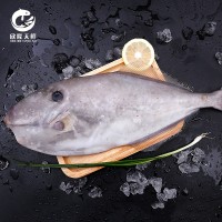 欣隆天鲜东海野生扒皮鱼冷冻海鲜500g-1500g顺丰冷链剥皮鱼马面鱼