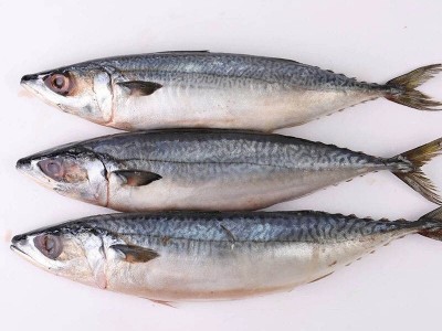 冷冻鲐鲅鱼10斤每箱食堂自助烧烤青占鱼1箱起发饭店酒家超市批发图5