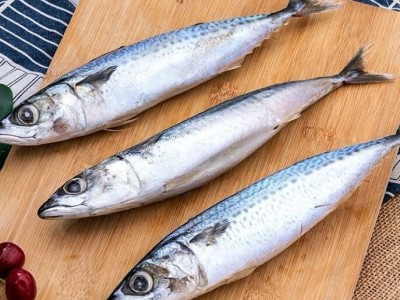 冷冻鲐鲅鱼10斤每箱食堂自助烧烤青占鱼1箱起发饭店酒家超市批发图4