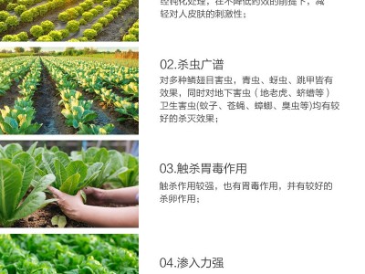 2.5%功夫高效氯氟氰菊酯蔬菜青虫果树蚜虫花卉植物土壤杀虫剂图3