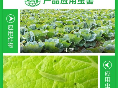 2.5%功夫高效氯氟氰菊酯蔬菜青虫果树蚜虫花卉植物土壤杀虫剂图2