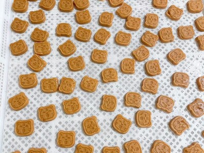 小老虎卡通山楂棒棒糖散装带棒酸甜山楂糕原味儿童零食批发图5