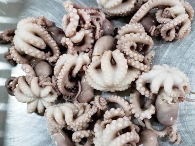 厂家供应八爪鱼迷你短腿八带鱼 批发冷冻海鲜水产翻花八爪鱼图2