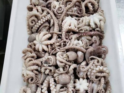 厂家供应八爪鱼迷你短腿八带鱼 批发冷冻海鲜水产翻花八爪鱼图3