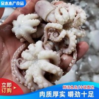 厂家供应八爪鱼迷你短腿八带鱼 批发冷冻海鲜水产翻花八爪鱼