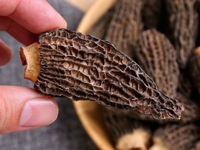 云南羊肚菌干货剪脚带柄散装支持代发大量批发食品加工贴牌可出口图5