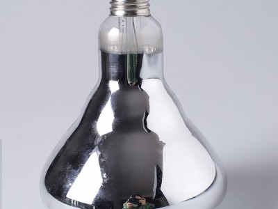 蓝鸟防水防爆红外线灯100W200W浴霸灯泡275W养殖场发热取暖保温灯图2
