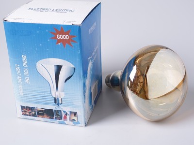 蓝鸟工厂 畜牧养殖场仔猪保温灯100W 浴霸灯泡250W美容院加热烤灯图5