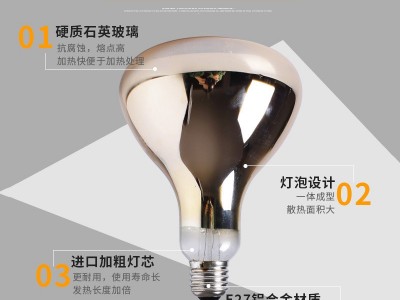 蓝鸟工厂 畜牧养殖场仔猪保温灯100W 浴霸灯泡250W美容院加热烤灯图2