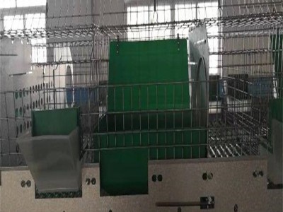 欧式兔笼双层兔笼双层24笼位兔笼种兔育成繁殖一体笼兔笼子图片图3