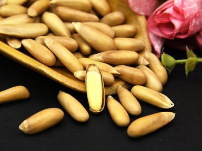 巴西松子罐装500g零食 薄壳易剥原味松子休闲美味 手剥松子坚果图3