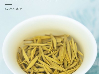 【厂家直营】福鼎白茶白毫银针茶饼2021年头春纯日晒300克新茶图3