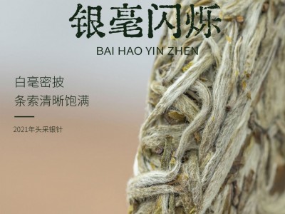 【厂家直营】福鼎白茶白毫银针茶饼2021年头春纯日晒300克新茶图4