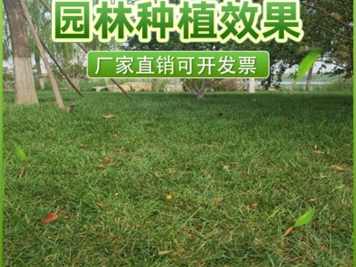 抗盐碱有机肥料园林绿化有机肥牛粪羊粪发酵肥料养分充足均衡图5