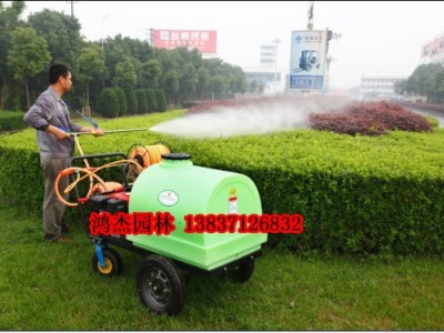 300L打药车手推式高压打药机车 清洗喷雾机 园林打药机消毒机图2