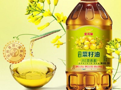 金龙鱼AE营养多纯香菜籽油5L/桶压榨滴滴香浓食用油图2