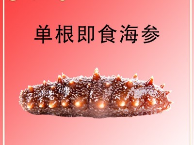 辽渤湾大连刺参即食海参鲜食批发冷冻海鲜辽参礼盒非干货图3