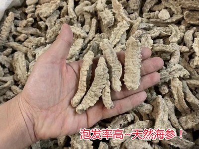 海参 黄肉海参 黄刺海参 煲汤煲粥佛跳墙滋补海产品干货 500克图2
