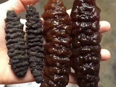 约30头带刺螺纹海参 龙纹海参 煲汤煲粥佛跳墙海产品干货 500克图4