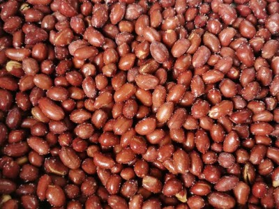 油炸红皮花生香酥花生米带盐 下酒菜即食小吃东北白沙花生米图4