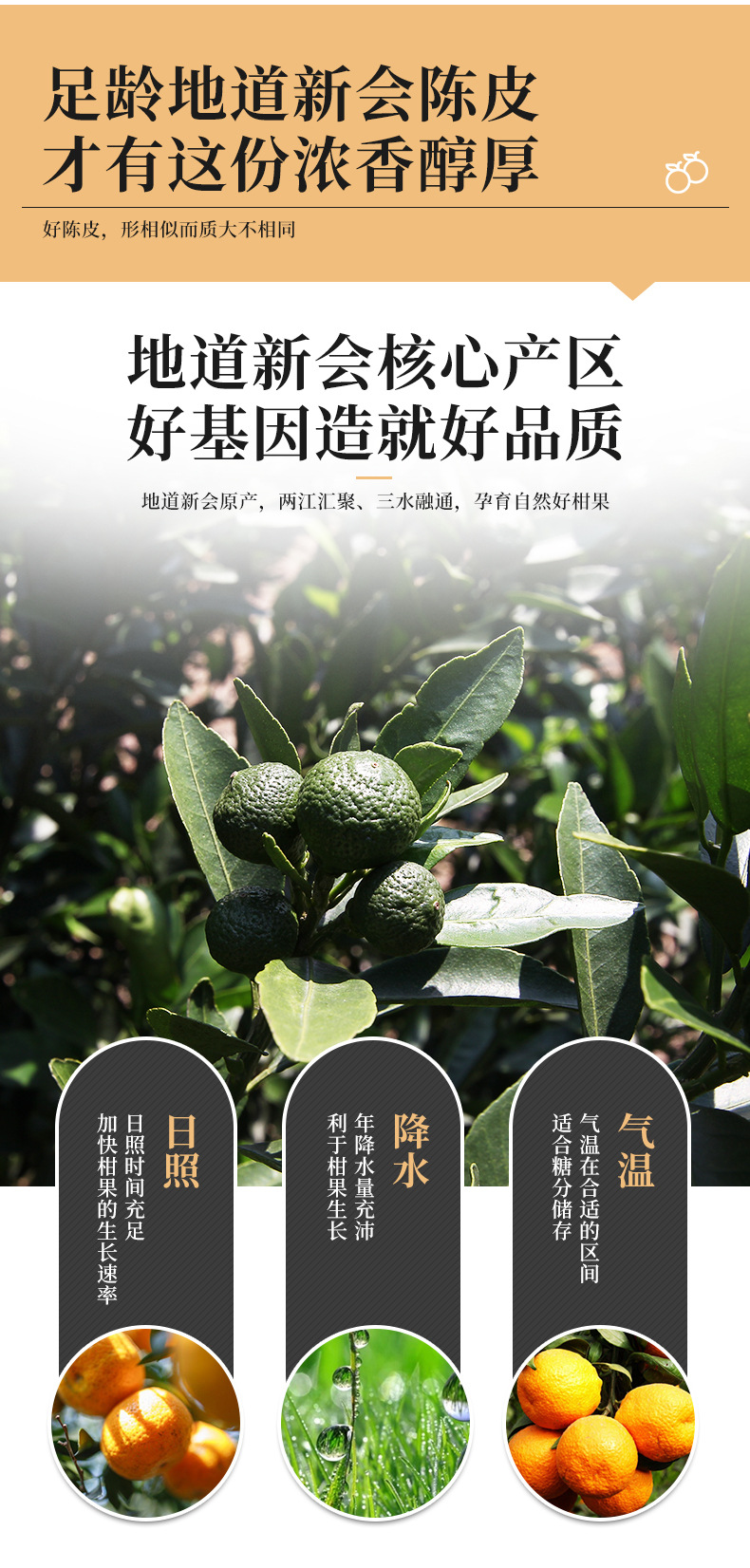 详情页_03.jpg