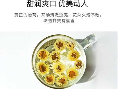 艺福堂厂家直发胎菊送人茶叶礼盒菊花茶桐乡杭白菊花茶厂家批发图4