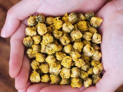 批发花茶艺福堂胎菊罐装花茶正宗桐乡胎菊杭白菊厂家直销 包邮图3