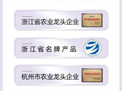 批发花茶艺福堂胎菊罐装花茶正宗桐乡胎菊杭白菊厂家直销 包邮图5