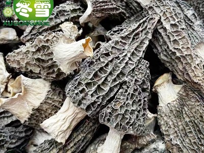 【福利款羊肚菌】大货直批食用菌食材一件代发淘宝货源诚招代理图3
