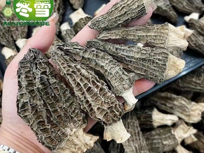 【一级羊肚菌】产地大货直批一件代发淘宝货源食材食用菌诚招代理图3