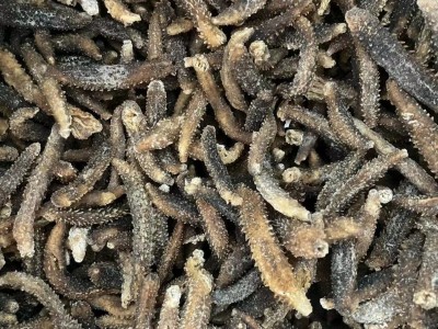 200头黑刺秃足干刺黄参小刺参散装米刺有刺海参佛跳墙500g1斤代发图2