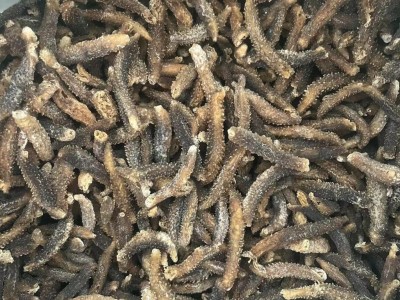 200头黑刺秃足干刺黄参小刺参散装米刺有刺海参佛跳墙500g1斤代发图5