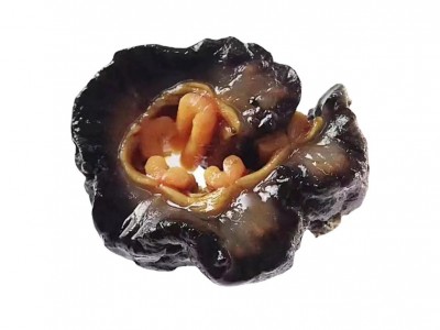 【即食红极参】厂家现货供应电商专供支持一件代发网红产品红极参图5