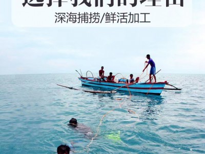 【厂家现货】即食海参批发 希腊米刺欢迎询问选购 土耳其米刺海参图4