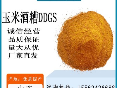 现货供应 酒香浓郁适口性好 玉米干酒糟DDGS 蛋白28 高脂玉米酒糟图4