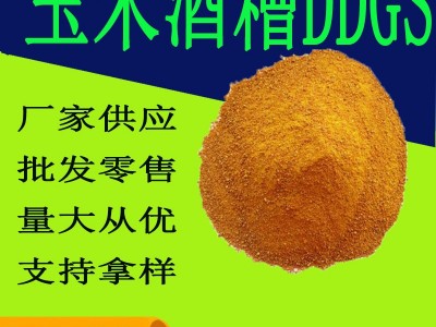 现货供应 酒香浓郁适口性好 玉米干酒糟DDGS 蛋白28 高脂玉米酒糟图3