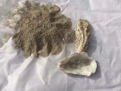 厂家直销海参饵料 牡蛎壳粉 水洗壳粉 量大从优图2