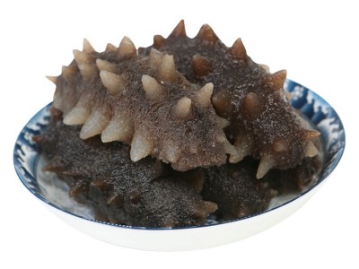 大连冷蒸即食海参 水产批发辽参即食海参500g散装海参大连图5