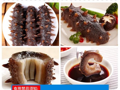 大连冷蒸即食海参 水产批发辽参即食海参500g散装海参大连图4