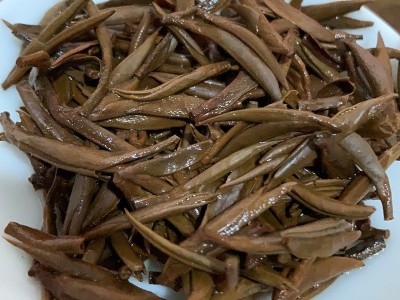 2022年头春梅占芽金俊眉明前单芽金骏眉红茶花果香金俊眉茶叶散装图3