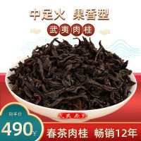 【武夷岩茶 果香肉桂】正岩中足火炭焙乌龙茶叶500g散装厂家批发