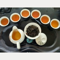 【武夷岩茶 矮脚乌龙】头春花果香型中火炭焙大红袍乌龙茶叶500克