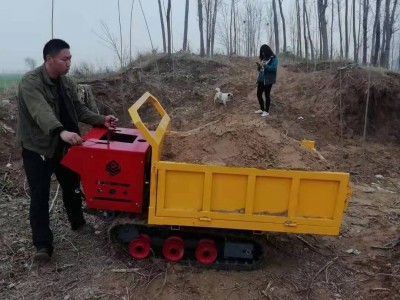 发动机手推式小型履带运输车工地养殖场货物小型履带运输车图4