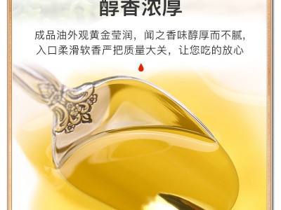 乡韵香葱油调味油凉拌菜面调味料葱香浓郁葱油批发葱油瓶装140ml图2