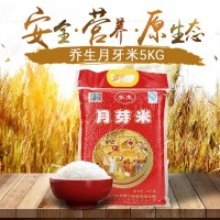 乔生月芽米厂家批发 大米5kg佳节送礼长粒米10斤大米定制代发代工